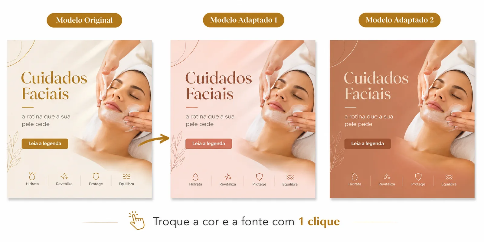 Modelo original e versões adaptadas 2